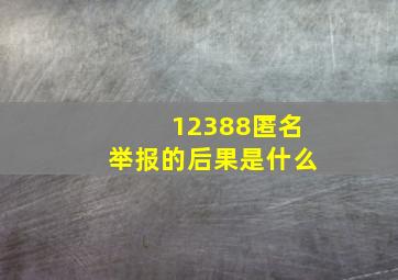 12388匿名举报的后果是什么