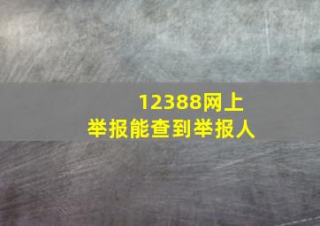 12388网上举报能查到举报人