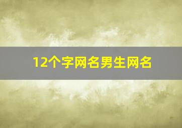 12个字网名男生网名