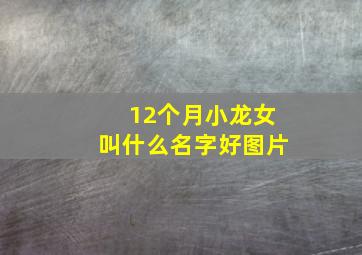 12个月小龙女叫什么名字好图片