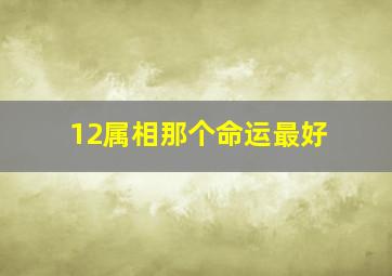 12属相那个命运最好