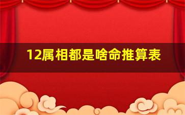 12属相都是啥命推算表