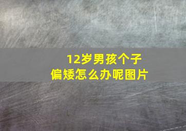 12岁男孩个子偏矮怎么办呢图片