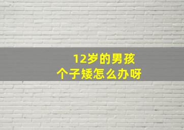 12岁的男孩个子矮怎么办呀