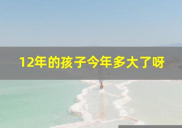 12年的孩子今年多大了呀