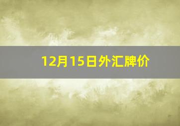 12月15日外汇牌价