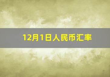 12月1日人民币汇率