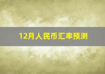 12月人民币汇率预测