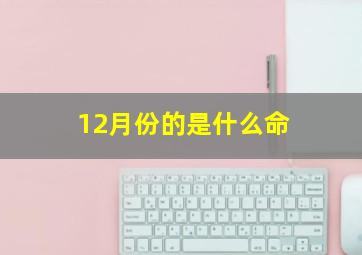 12月份的是什么命