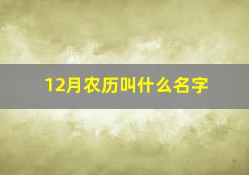 12月农历叫什么名字