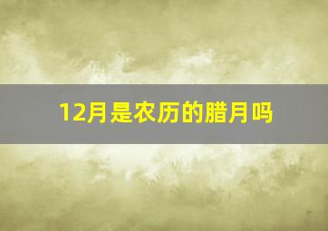 12月是农历的腊月吗