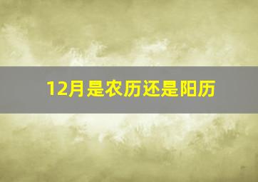 12月是农历还是阳历