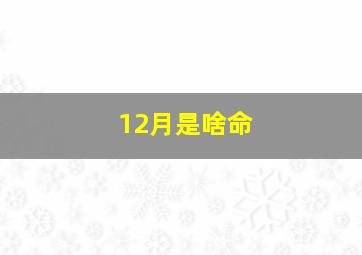 12月是啥命