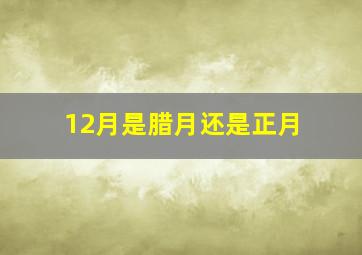 12月是腊月还是正月