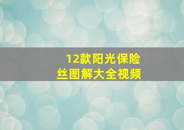 12款阳光保险丝图解大全视频