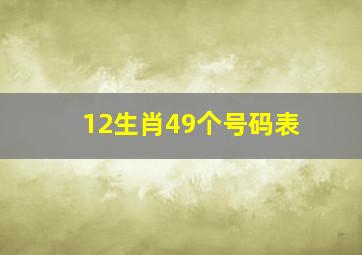 12生肖49个号码表