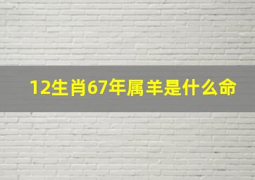 12生肖67年属羊是什么命