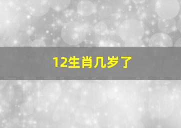 12生肖几岁了