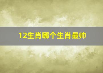 12生肖哪个生肖最帅