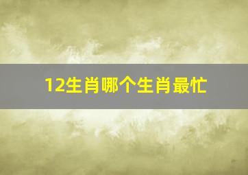 12生肖哪个生肖最忙