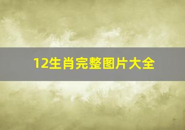 12生肖完整图片大全