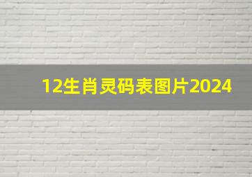 12生肖灵码表图片2024