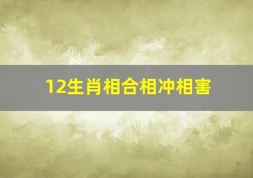 12生肖相合相冲相害