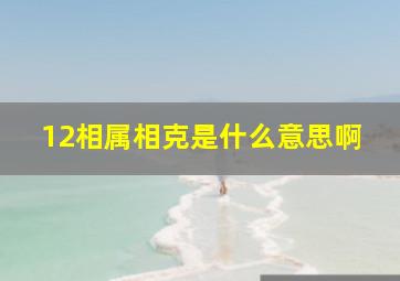 12相属相克是什么意思啊