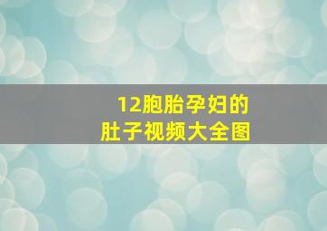 12胞胎孕妇的肚子视频大全图