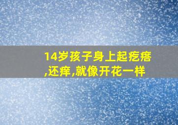 14岁孩子身上起疙瘩,还痒,就像开花一样