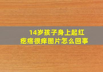 14岁孩子身上起红疙瘩很痒图片怎么回事