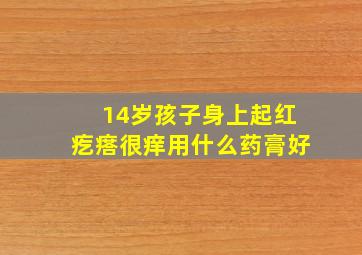 14岁孩子身上起红疙瘩很痒用什么药膏好