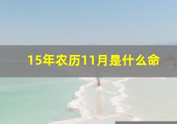 15年农历11月是什么命