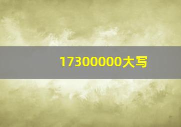 17300000大写