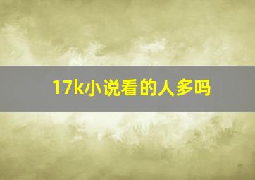 17k小说看的人多吗