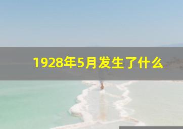 1928年5月发生了什么