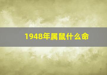 1948年属鼠什么命