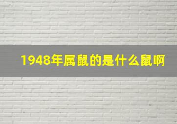 1948年属鼠的是什么鼠啊