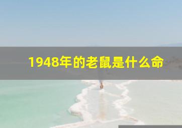 1948年的老鼠是什么命