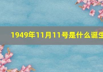 1949年11月11号是什么诞生