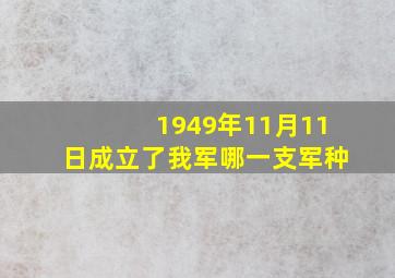 1949年11月11日成立了我军哪一支军种