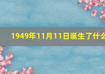 1949年11月11日诞生了什么