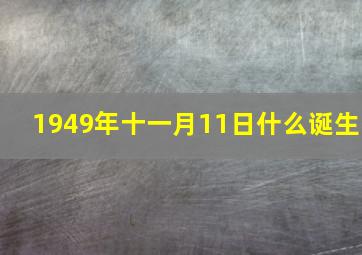 1949年十一月11日什么诞生