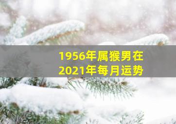 1956年属猴男在2021年每月运势