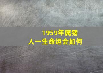 1959年属猪人一生命运会如何