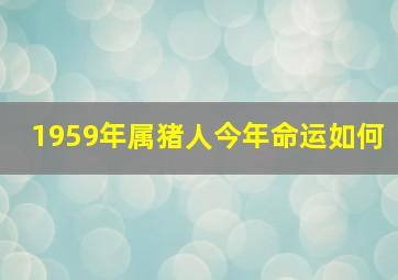 1959年属猪人今年命运如何