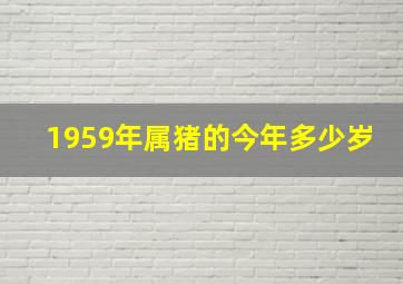 1959年属猪的今年多少岁