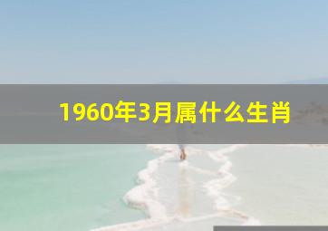 1960年3月属什么生肖