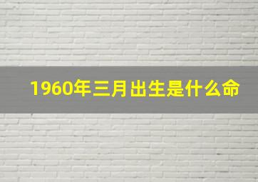 1960年三月出生是什么命