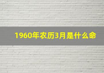 1960年农历3月是什么命